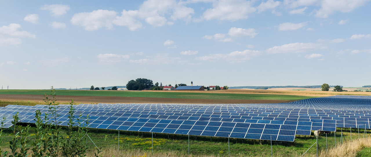Photovoltaikmodule einer Freiflächenanlage